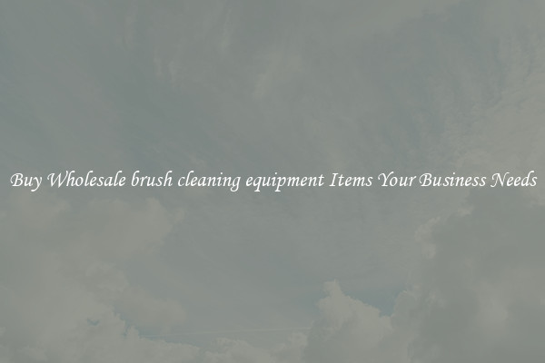 Buy Wholesale brush cleaning equipment Items Your Business Needs