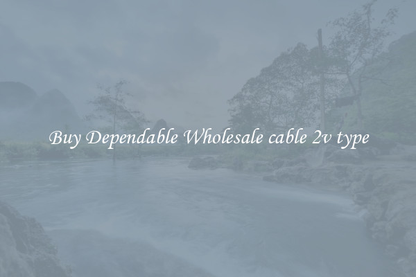 Buy Dependable Wholesale cable 2v type