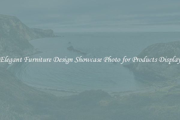 Elegant Furniture Design Showcase Photo for Products Display