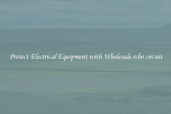 Protect Electrical Equipment with Wholesale rcbo circuit