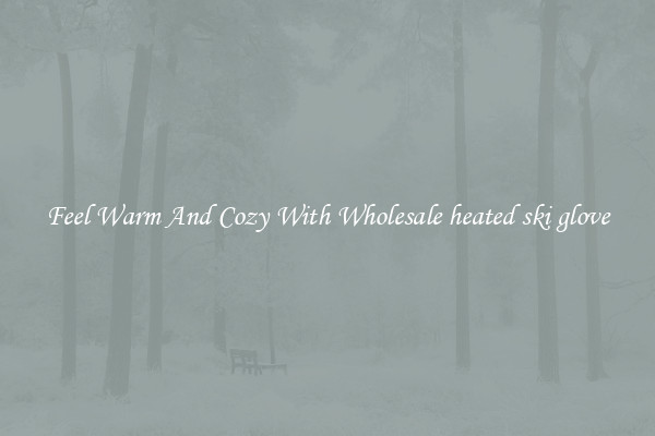 Feel Warm And Cozy With Wholesale heated ski glove