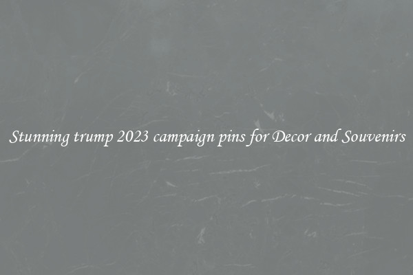 Stunning trump 2023 campaign pins for Decor and Souvenirs