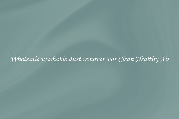 Wholesale washable dust remover For Clean Healthy Air