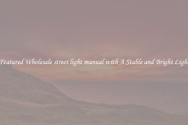 Featured Wholesale street light manual with A Stable and Bright Light