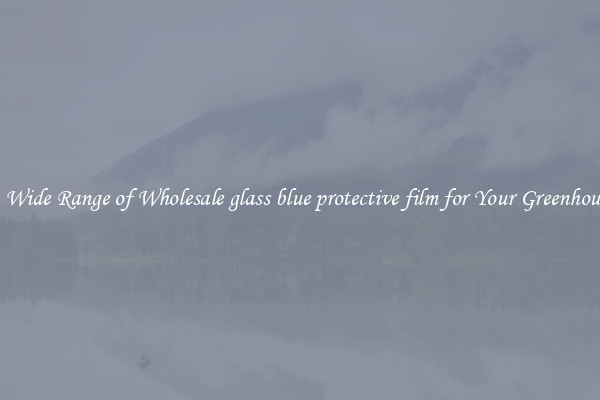 A Wide Range of Wholesale glass blue protective film for Your Greenhouse