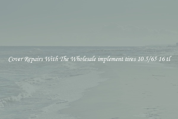  Cover Repairs With The Wholesale implement tires 10.5/65 16 tl 