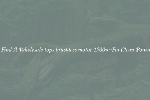 Find A Wholesale tops brushless motor 1500w For Clean Power