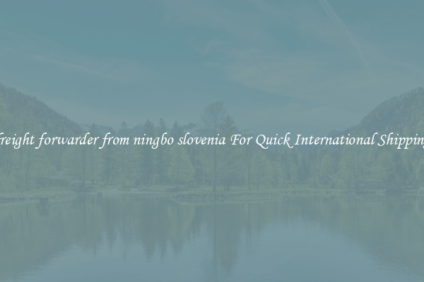 freight forwarder from ningbo slovenia For Quick International Shipping