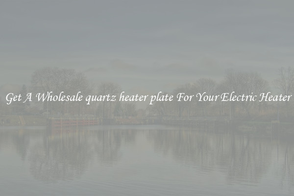 Get A Wholesale quartz heater plate For Your Electric Heater