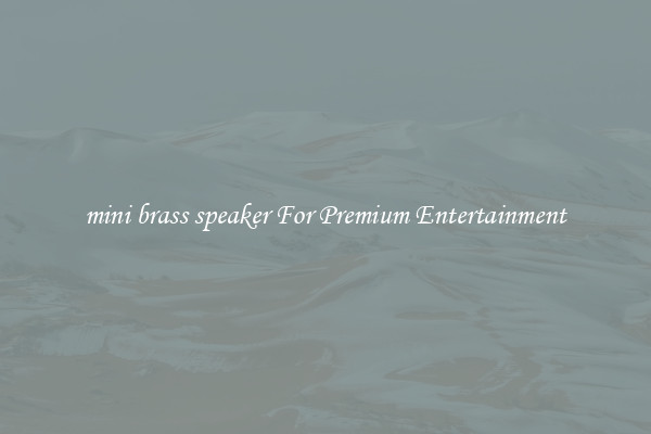 mini brass speaker For Premium Entertainment