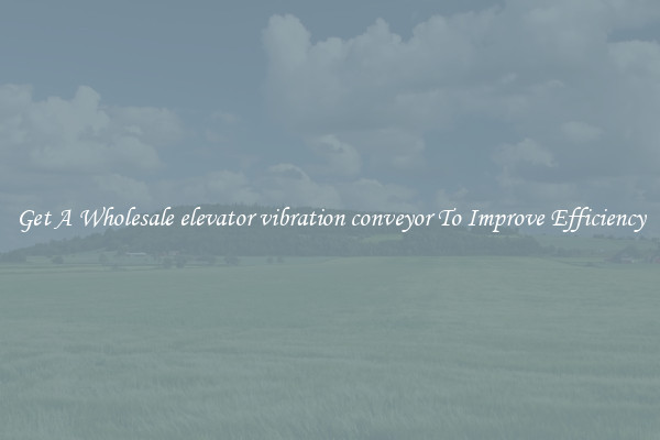 Get A Wholesale elevator vibration conveyor To Improve Efficiency