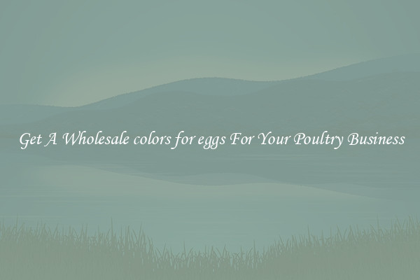 Get A Wholesale colors for eggs For Your Poultry Business