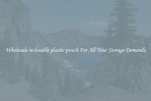 Wholesale reclosable plastic pouch For All Your Storage Demands