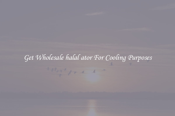 Get Wholesale halal ator For Cooling Purposes