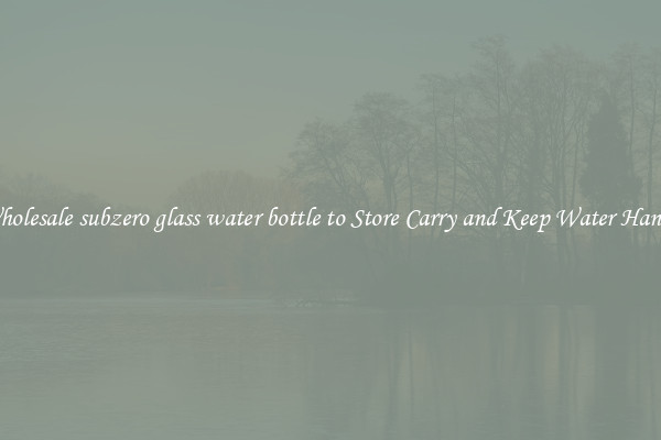 Wholesale subzero glass water bottle to Store Carry and Keep Water Handy