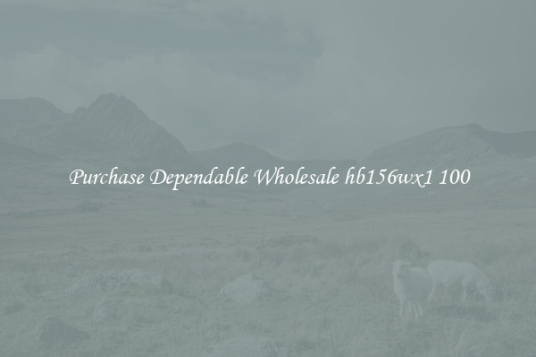 Purchase Dependable Wholesale hb156wx1 100
