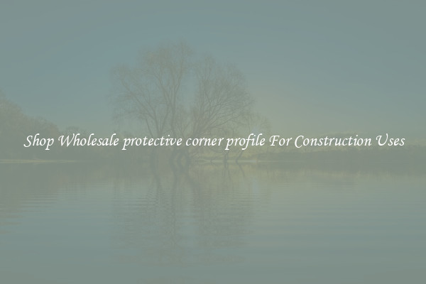 Shop Wholesale protective corner profile For Construction Uses