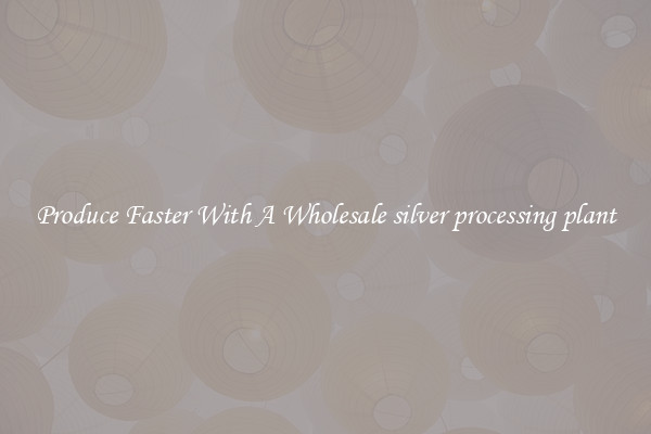 Produce Faster With A Wholesale silver processing plant