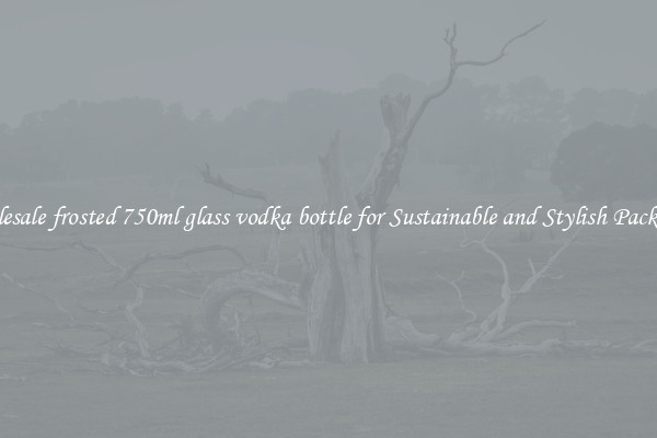 Wholesale frosted 750ml glass vodka bottle for Sustainable and Stylish Packaging