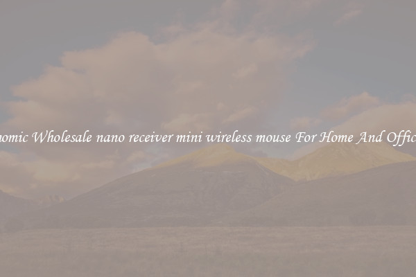 Ergonomic Wholesale nano receiver mini wireless mouse For Home And Office Use.