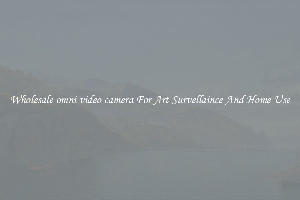 Wholesale omni video camera For Art Survellaince And Home Use