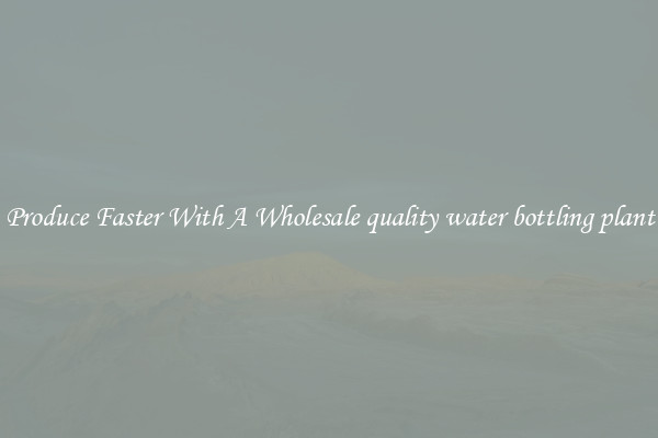 Produce Faster With A Wholesale quality water bottling plant